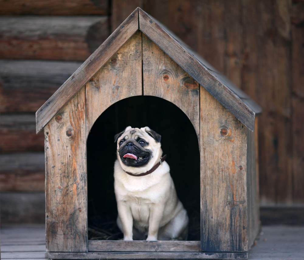 Ten-Point check-list - Preparing your property for sale.  